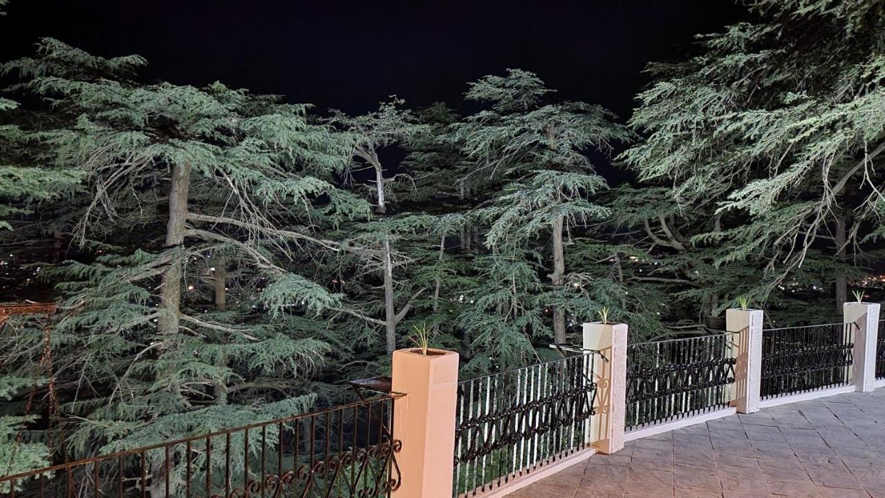 Glen View Heritage Homestay Šimla Exteriér fotografie